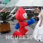 万科小红人新街口大胆求婚