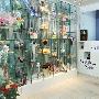 千景花物语新店开张 日本保鲜花登陆上海