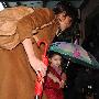 老虎伍兹6大情妇曝光：最大伪君子 性虐狂人