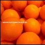 橙子健康减肥秘方 成功减掉20斤