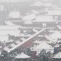 满目晶莹：瑞雪下的紫禁城