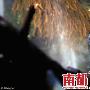 《阿凡达》见证最伟大视觉电影的诞生
