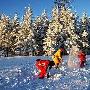林海雪原之地 伊春旅游攻略