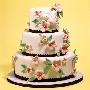 婚礼蛋糕的11条顶级提示