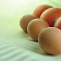 减肥食谱 黄瓜+鸡蛋 7天刮掉20斤肥肉