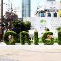 全球高效植物护肤先锋Origins首柜亮相上海百盛购物中心