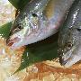 海产鱼类 饮食营养“新贵”