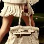 Hermes爱马仕2010春夏女包