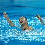 [组图]中国队获得花样游泳双人技术自选项目冠军(4)