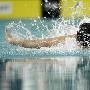 [组图]中国选手焦刘洋获女子100米蝶泳冠军