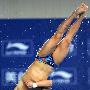[组图]世界跳水系列赛：邱波男子10米台夺冠
