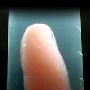 日本科学家用白鼠皮肤细胞制出仿真人类手指