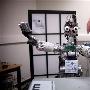 欧洲智能儿童机器人接受“做人”培训(组图)