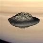 科学家发现土星飞碟形状卫星来自土星光环(图)
