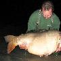 英国男子钓到45公斤鲤鱼打破世界纪录(图)