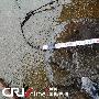 浙江上虞村民发现奇异“水怪”漂浮蠕动(图)
