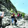 福建无人岛上频现珍稀鸟 有望设特别保护区