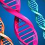 我国学者发现长寿基因可望解开长命百岁之谜