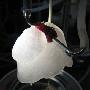 科学家造出人工肺 植入老鼠体内存活6小时