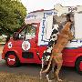 英国推出世界首辆宠物狗冰激凌车(组图)