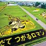 稻田里“长出”画作 日小村每年吸引17万游客