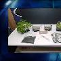 “太空农场”培育植物：从月球土壤获得营养