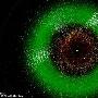 天文学家制作太阳系地图标注小行星数量(图)