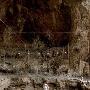 考古学家发现12000年前人类最早的团体宴会