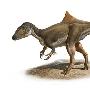 新发现1.3亿年前驼背恐龙：背部突起似驼峰