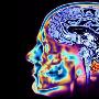 牛津科学家：科技致大脑变化或威胁人类生存