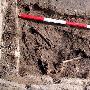 英国发现1800年前双手被绑女童尸骸(图)