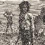 英国巨石阵发现3500年前男童尸骸(图)