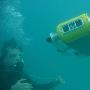 加拿大科学家开发出使用脚蹼游动水下机器人