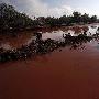 匈牙利铝厂毒水涌向村镇 大地被染红(组图)