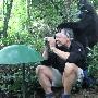 美国一游客游览非洲遭遇大猩猩“围攻”(图)