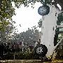 印度司机“疯狂停车” 车身倒立靠大树(图)
