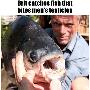英国男子捕获大型食人鱼 曾咬死多名渔民(图)