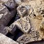 秘鲁疑现西坎贵族坟墓 挖掘大量宗教祭祀遗骸