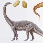 南非现最老恐龙胚胎化石 年代在侏罗纪亿年前