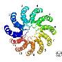 研究揭示TALE蛋白特异性识别DNA分子机制