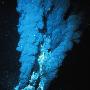 科学家发现地球最极端深海“黑烟囱”(图)
