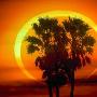 2012日环食奇观 本影区太阳将变成“大火环”