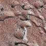 美宇航局拍摄火星表面壮观春季新月形沙丘