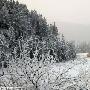 欧亚遭遇极寒286人身亡 20年小冰河期疑到来