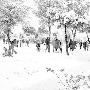 严寒来袭北半球集体变冷 意大利遇罕见降雪
