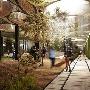 建筑师欲建造地下公园 阳光充足可种花草树木