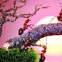 俄罗斯摄影师安德里拍摄蚂蚁小人国(图)