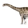 巨型恐龙之祖来自西班牙：探秘阿拉贡龙化石