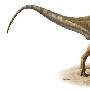 科学家发现恐龙新物种 像骆驼一样驼峰高耸