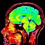 未来12年“人脑计算机”问世 有助治大脑疾病